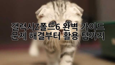 갤럭시Z폴드6 완벽 가이드: 문제 해결부터 활용 팁까지